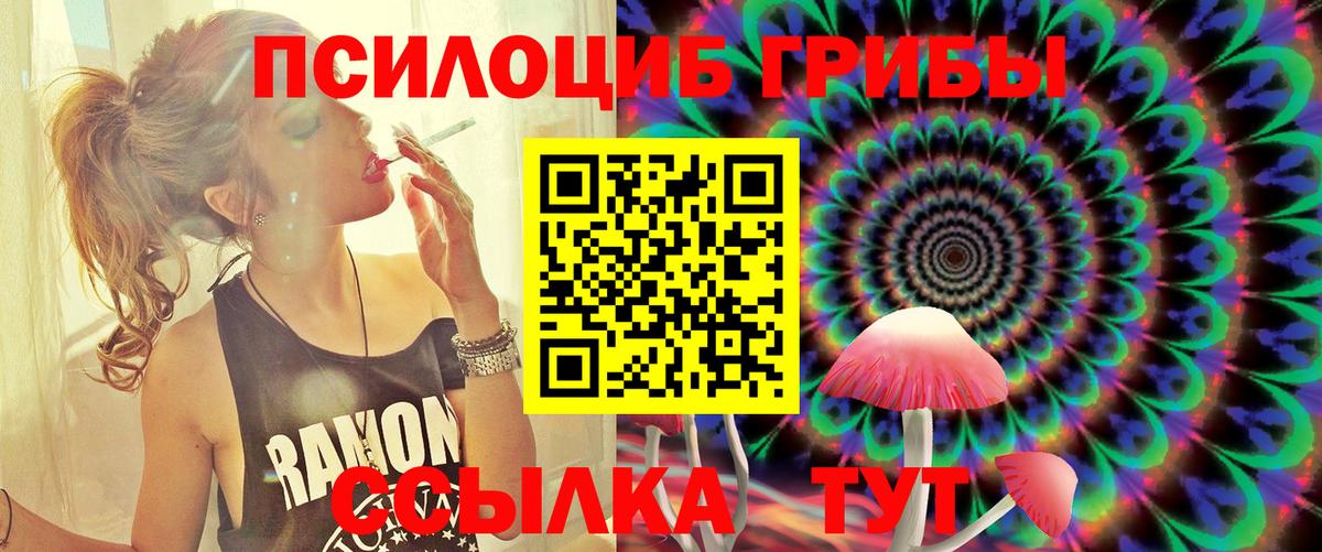 Галлюциногенные грибы мицелий  Псилоцибиновые грибы GOLDEN TEACHER  где можно купить   Вход с VPN  Рубцовск 