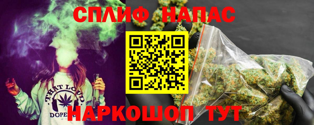Канабис сатива Рубцовск
